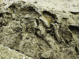 texture of the stone
