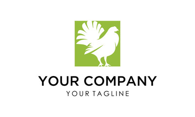 Fototapeta na wymiar chicken logo for your business