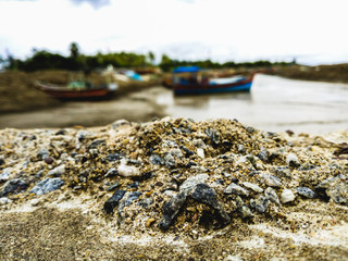 fishing boats on the shore