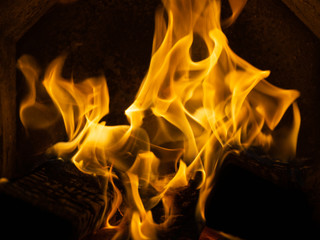 Birch firewood burns in a metal stove