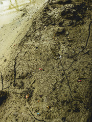 close up of a rock