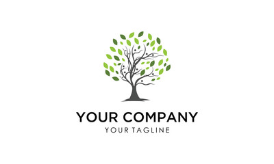 Obraz premium tree logo for your business