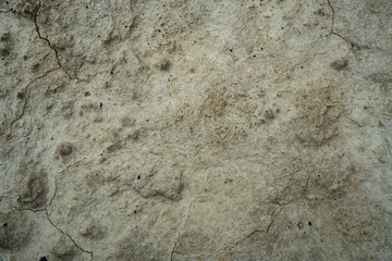 Texture of dried cracked clay. Macro background image of dried clay
