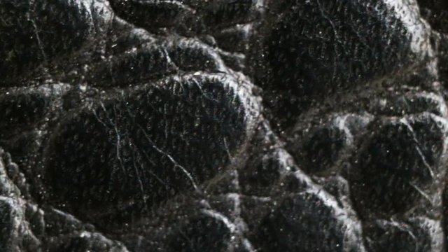 black textured genuine leather close-up. Real time, camera movement, extreme close-up.