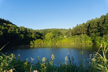 Fototapeta na wymiar 小さな池に朝日が当たる風景