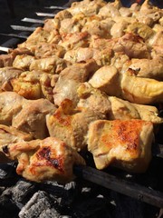 Delicious pieces of meat on skewers. Great food for a picnic
