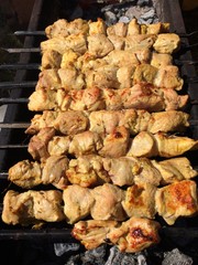 Delicious pieces of meat on skewers. Great food for a picnic