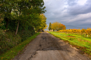 Strade di campagna