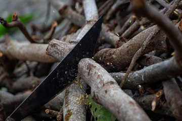 axe in a log