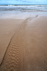 Around the wheel on the sand on the beach