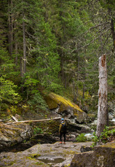 hiking near river in Mt. Rainier National park