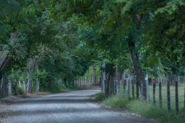 carretera