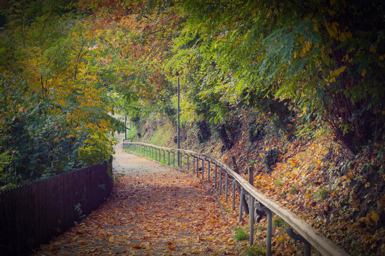 Walkway covered with fallen autumn leaves in a rustic countryside area in Switzerland