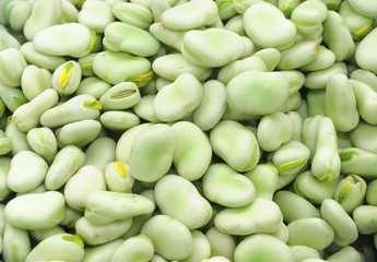 food background of fresh broad bean