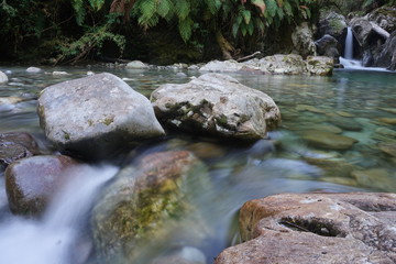 stream in the forest
