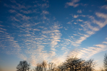 Stratocumulus clouds at sunset, beautiful cloudscape
