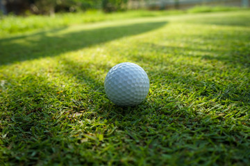 Golf ball on green grass sunset background