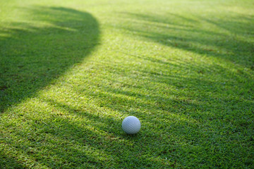 Golf ball on green grass sunset background