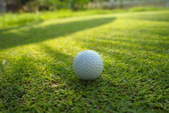 Golf ball on green grass sunset background