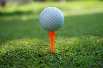 Close up of golf ball on tee