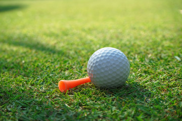 Golf ball on green grass sunset background