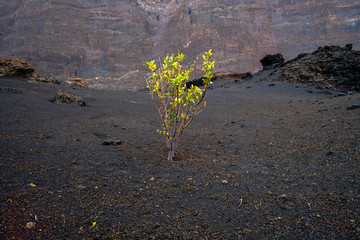 dry sandy landscapes volcanic island fogo