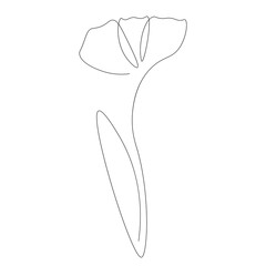 Spring flower isolated on white background. Vector illustration	