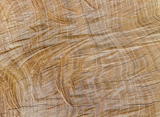 nature texture wood background wallpaper
