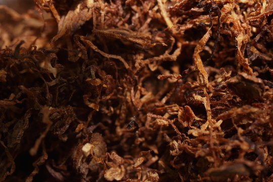 Full Frame Shot Of Dried Tobacco Crop