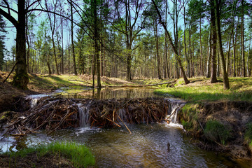 Bobrowa tama © Marek