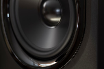 Black speaker of an acoustic monitor close-up.