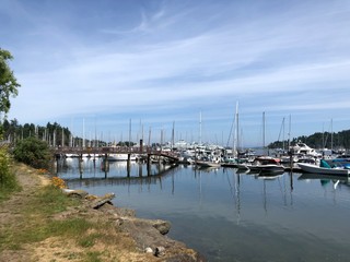 Sailboats in the marina