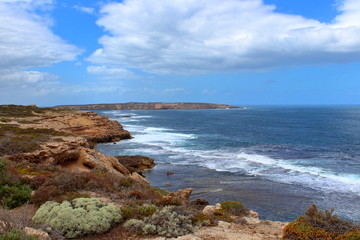 coast of the sea in coffin bay, south australia