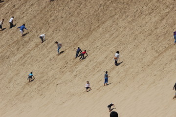 鳥取砂丘の馬の背（最も大きな砂の丘）にのぼる観光客たち / Tottori sand dunes.