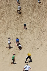 鳥取砂丘の馬の背（最も大きな砂の丘）にのぼる観光客たち / Tottori sand dunes.