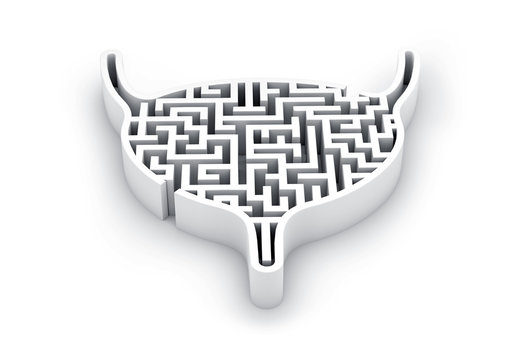 Bladder in shape of 3d maze or labyrinth. Concept of Bladder. 3D Rendering,