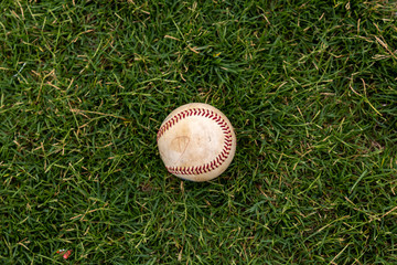 pelota vieja de baseball en el pasto 