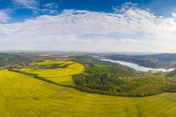 yellow canola field with cloudy sky