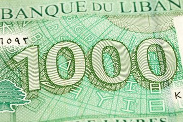 detail of a 1000 lebanese pound bank note reverse
