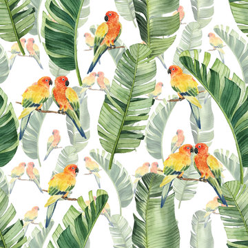 Pattern with beautiful watercolor parrots and tropical leaves. Tropics. Realistic tropical leaves. Tropical birds.