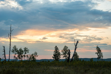 summer fiery red sunset in the mountains against the background of trees