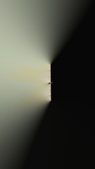 Ornate colourful 3D background