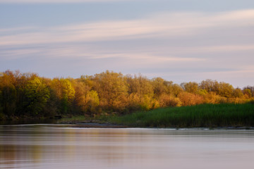 Morning sunlight on trees by a river long exposure beautiful spring time