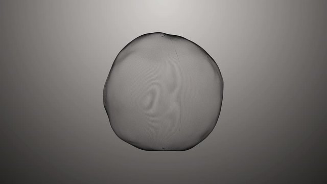 A transparent soap bubble on a light background changes shape. A thin sphere on a light gray background smoothly deforms and slowly rotates