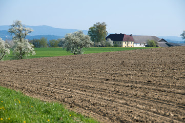 Mostviertel Landschaft