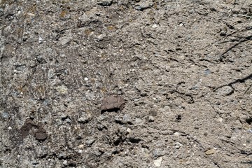 The texture of wet concrete.