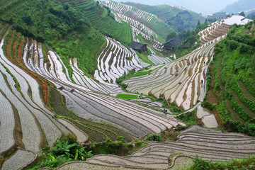 View of rice terraces in South China