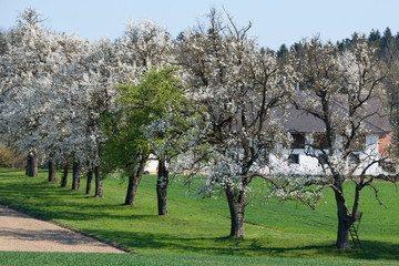 Mostviertel Landschaft