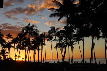 Amazing sunset in Hawaii Big Island with palmtrees