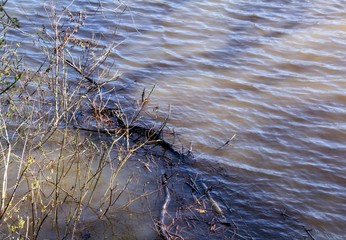 Muddy river. Photo for booklets.